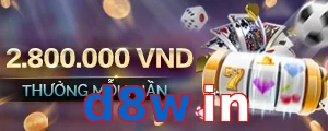 d8win